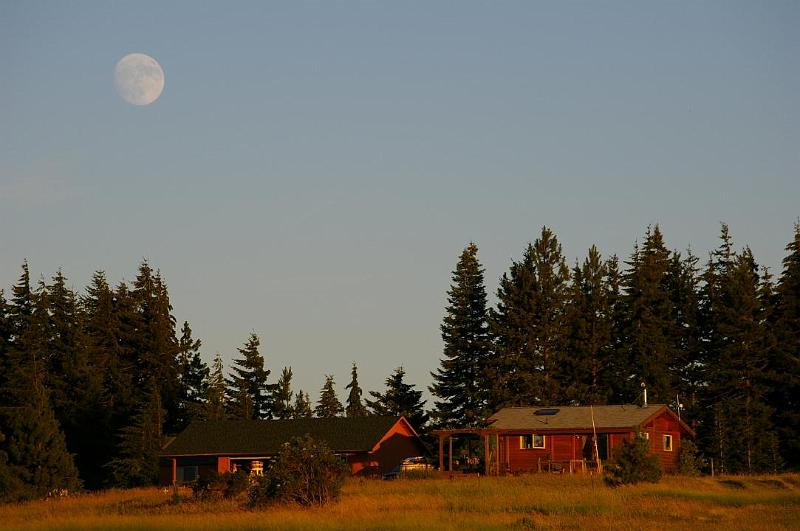 Jeanne Steves Cab Moon 1.jpg